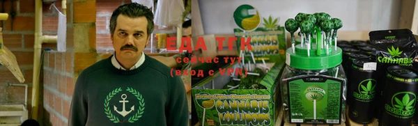 спайс Алексин