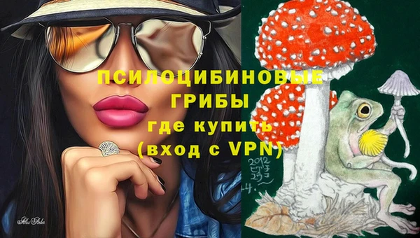 спайс Алексин