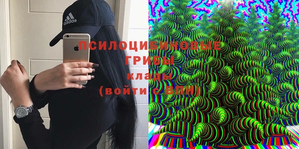 спайс Алексин