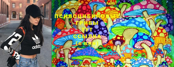 спайс Алексин